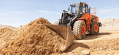 Doosan DL300